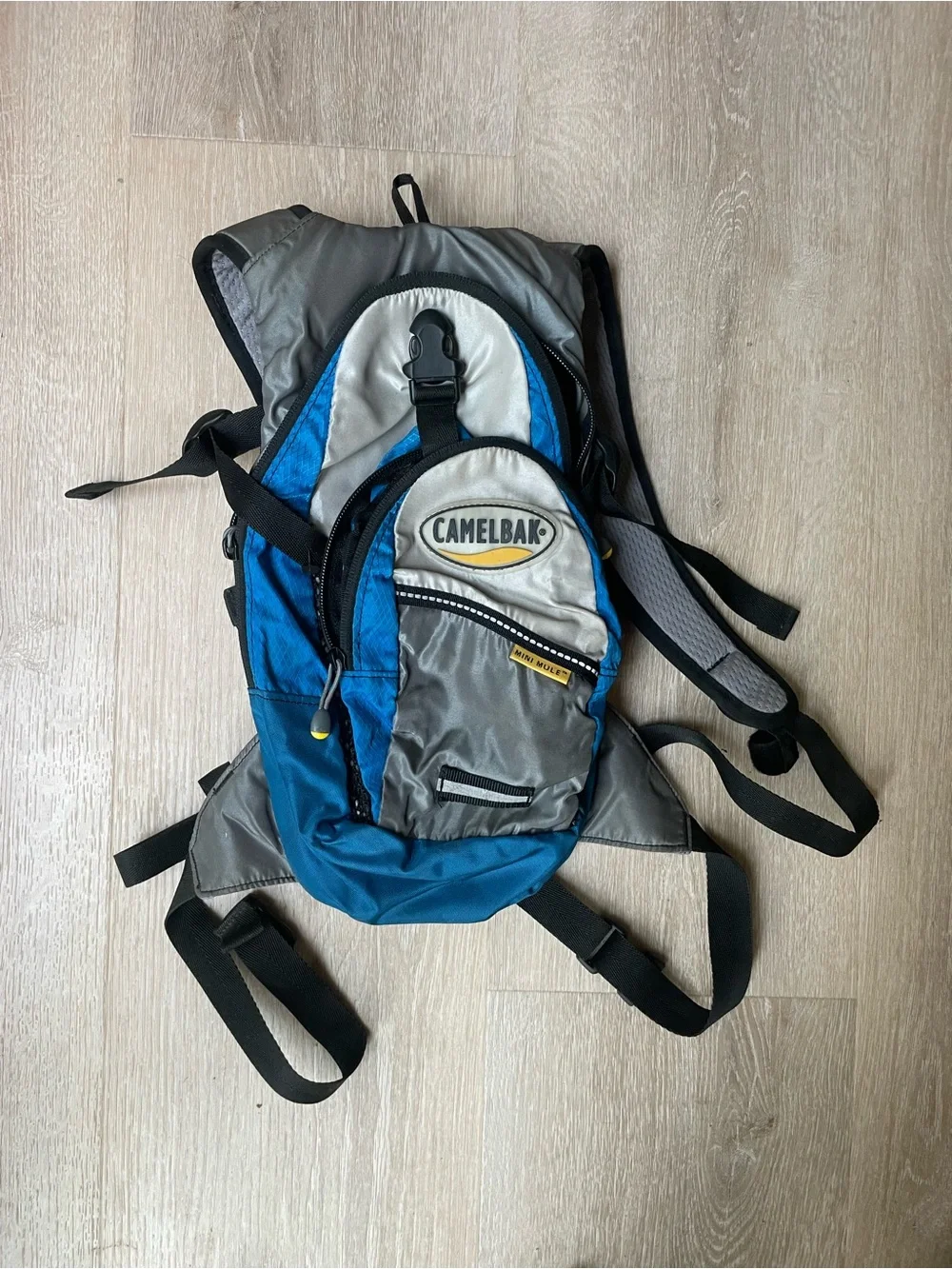 CamelBak Blue and Gray Hydration Backpack